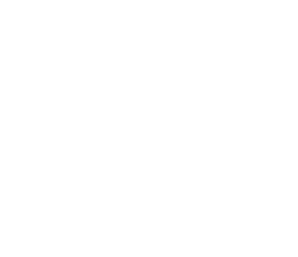 Casanna Multimedia Logo