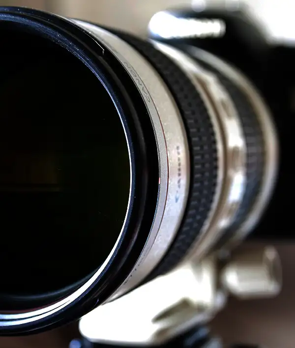 photography edmonton